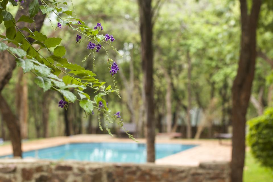 Woodlands Lilongwe 호텔 외부 사진